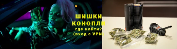 ПСИЛОЦИБИНОВЫЕ ГРИБЫ Лихославль