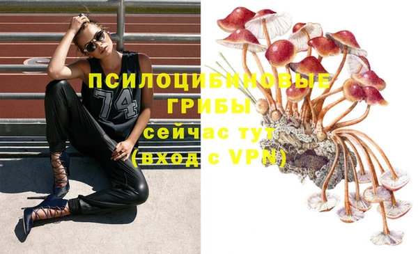 молекула духа Магас